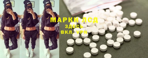 гидра Покачи