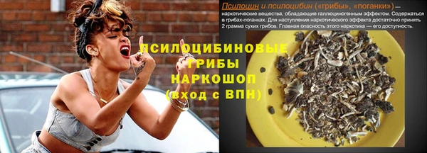 амф Балахна